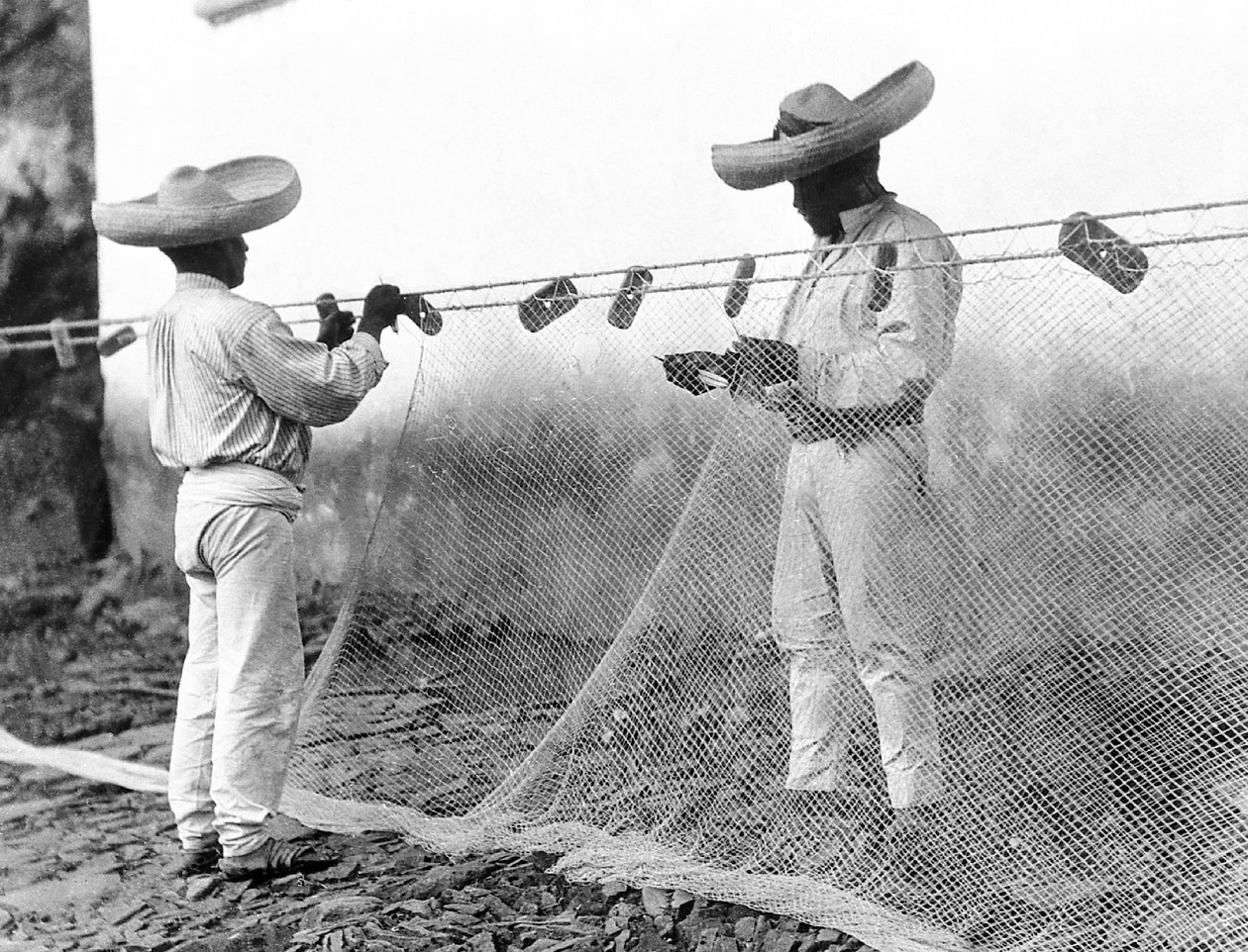Pêcheurs avec des filets, Mexique, vers 1926 - Tina Modotti