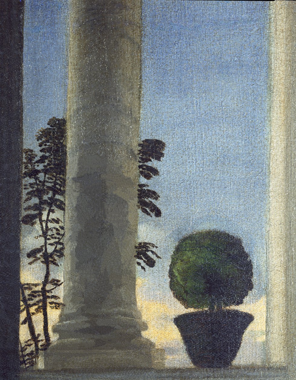 Vénus d