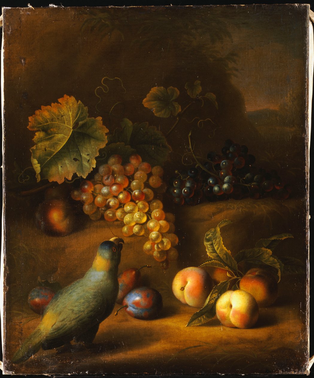 Un perroquet avec des raisins, des pêches et des prunes dans un paysage - Tobias Stranover