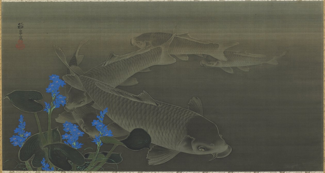 Carpe, période Edo, 1787-1846 - Toko Kuroda