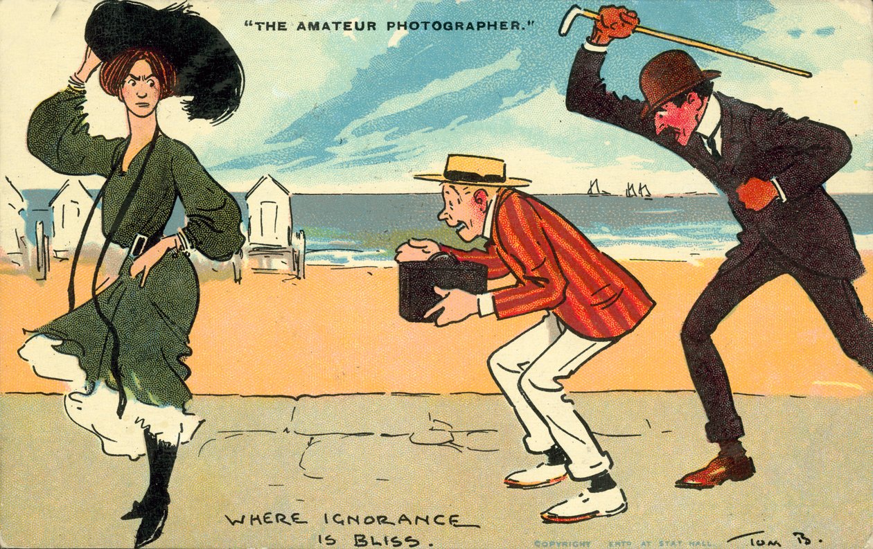 Le photographe amateur (lithographie couleur) - Tom Browne