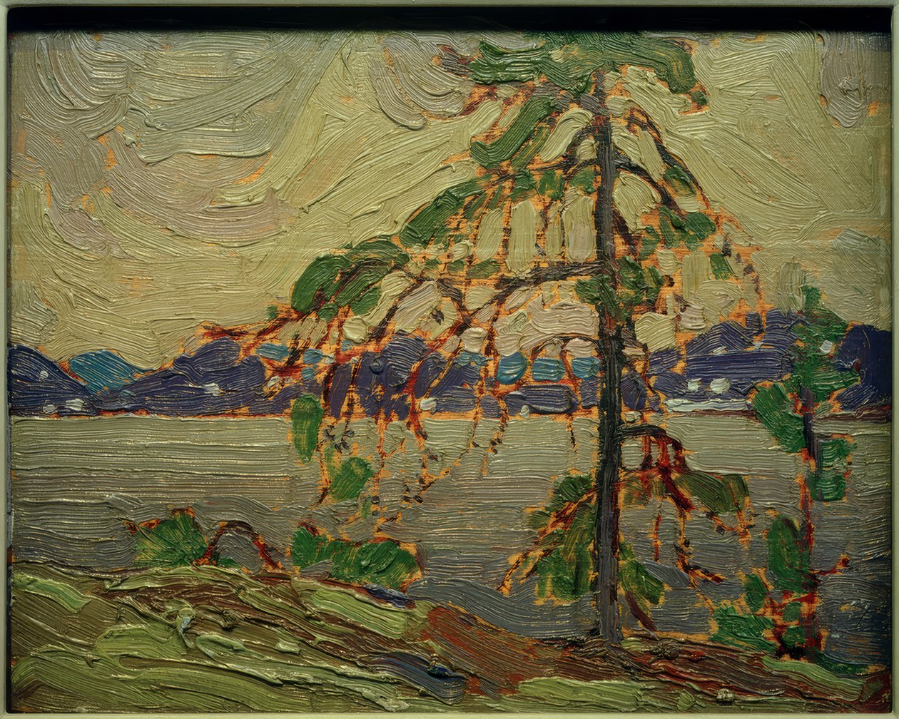 Le pin Jack (esquisse) | Tom Thomson | Estampe d'art