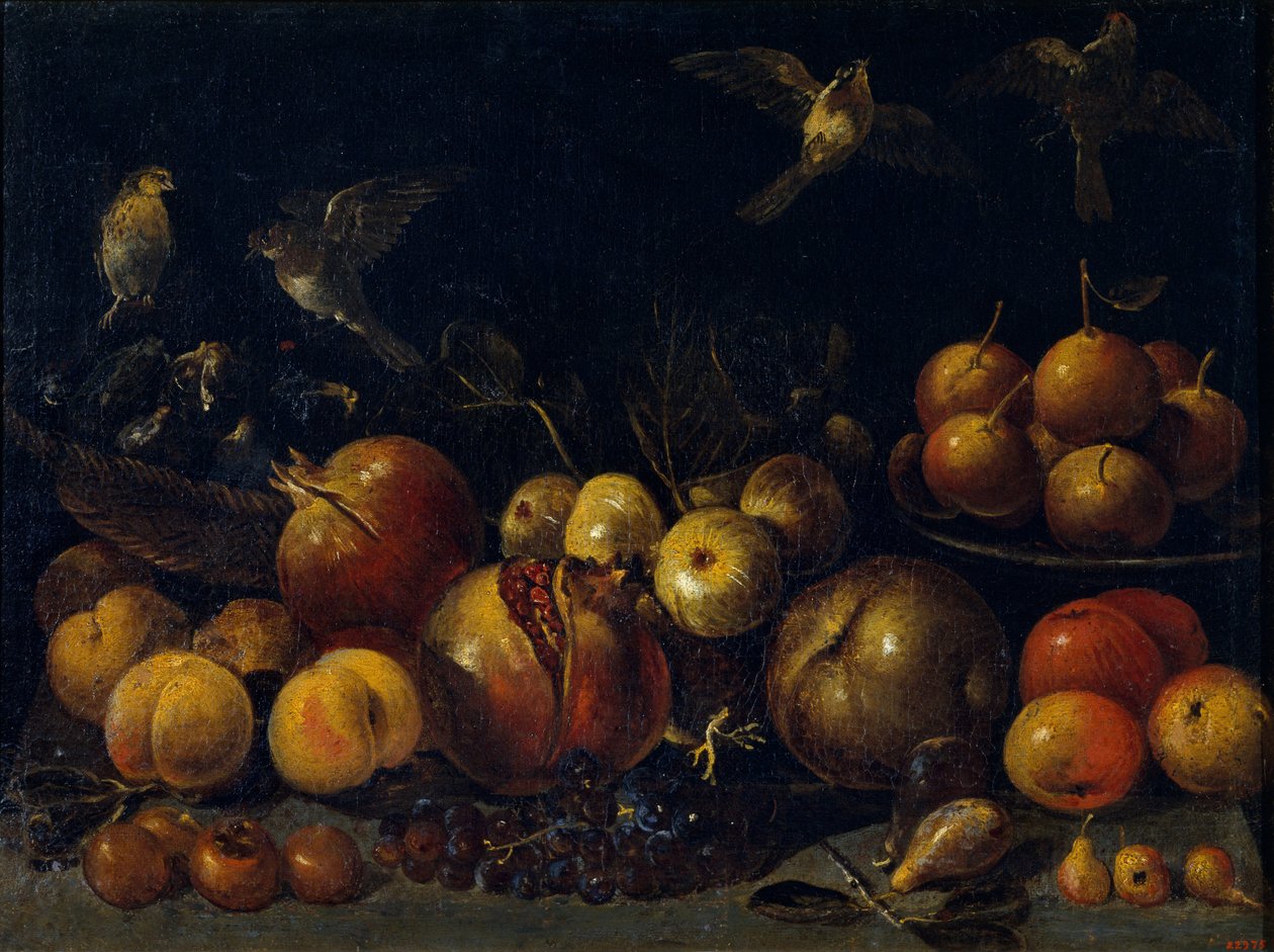 Nature morte avec grenades, pommes, poires, raisins, figues et oiseaux - Tommaso Realfonso