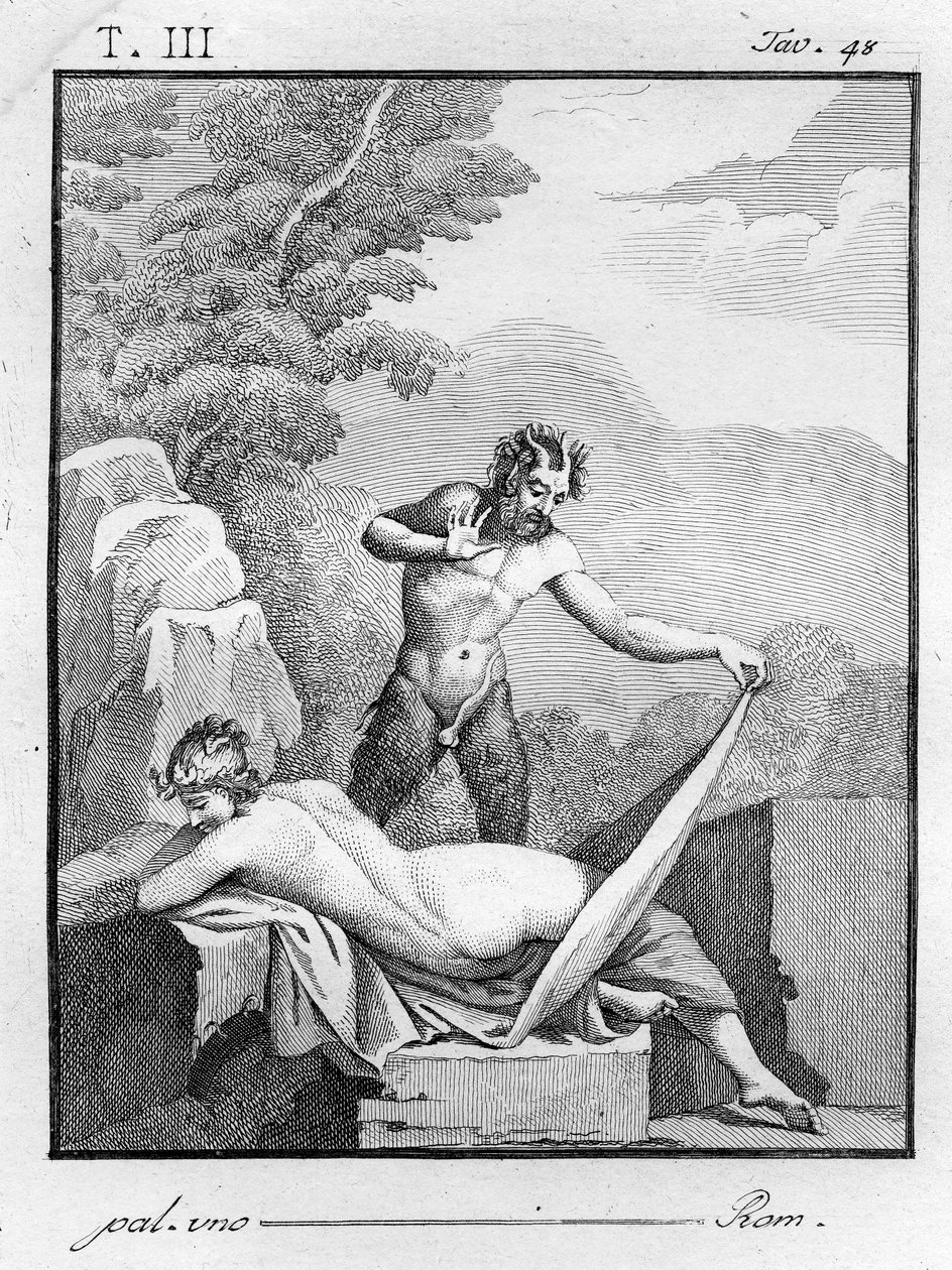 Satyre déshabillant une nymphe, 1804 - Tommaso Piroli
