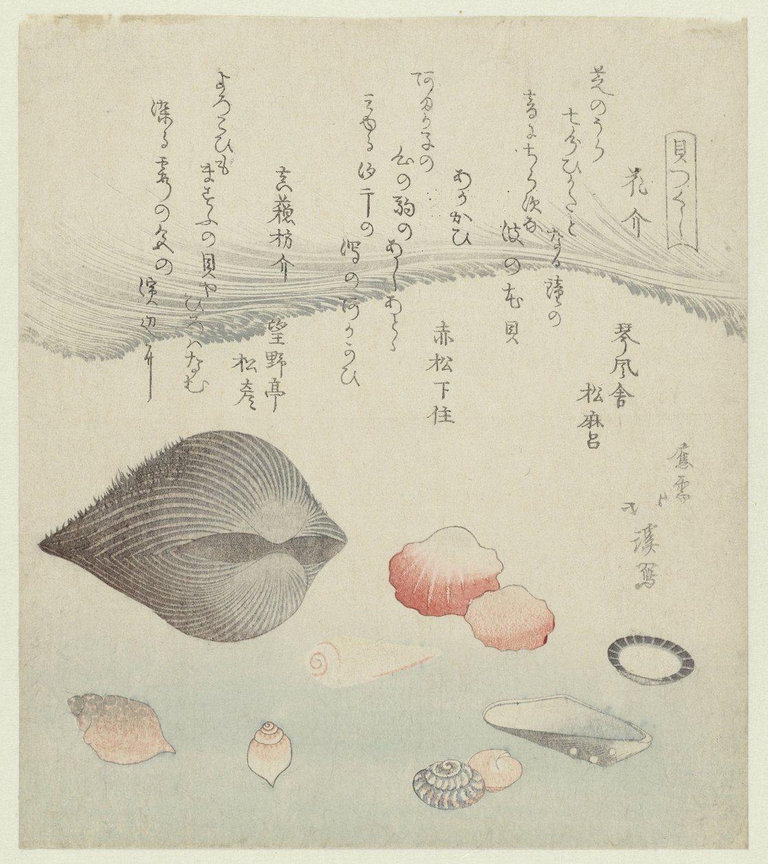 Coquille de fleur, coquille rouge et la coquille rouge pure (Une série de coquillages) - Totoya Hokkei