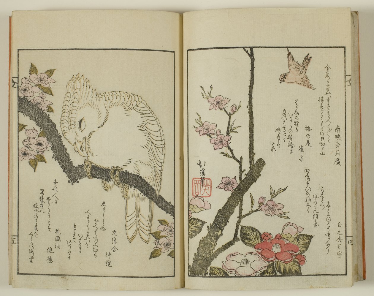 Kyoka hyakucho Kocho - Totoya Hokkei