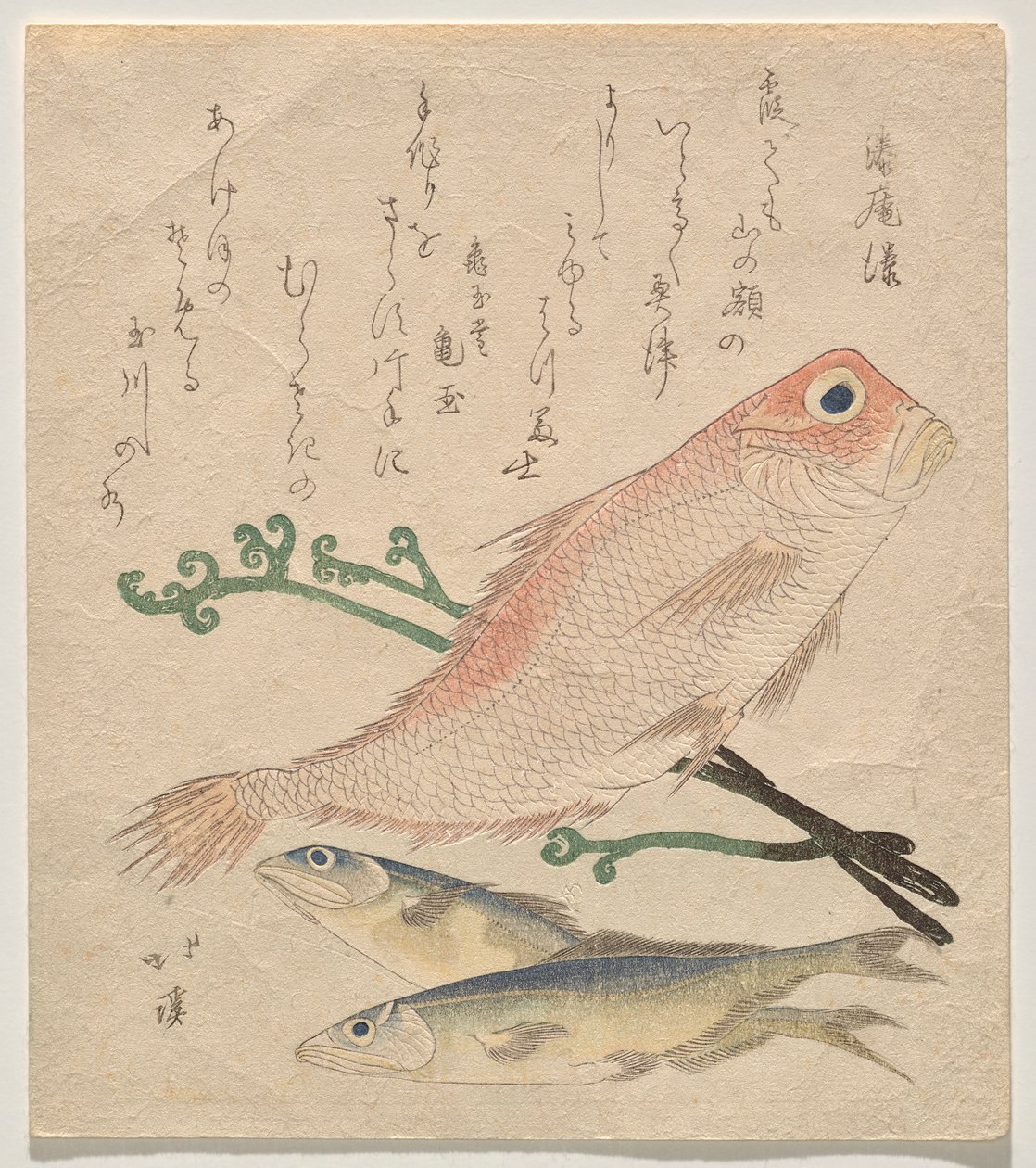 Dorade rose et deux petites truites - Totoya Hokkei