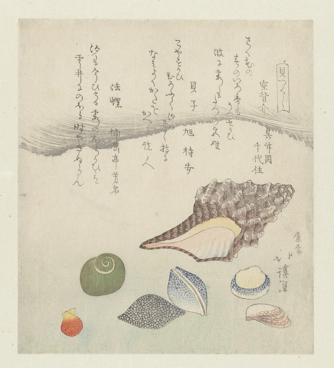 Coquille de réflexion, coquille d