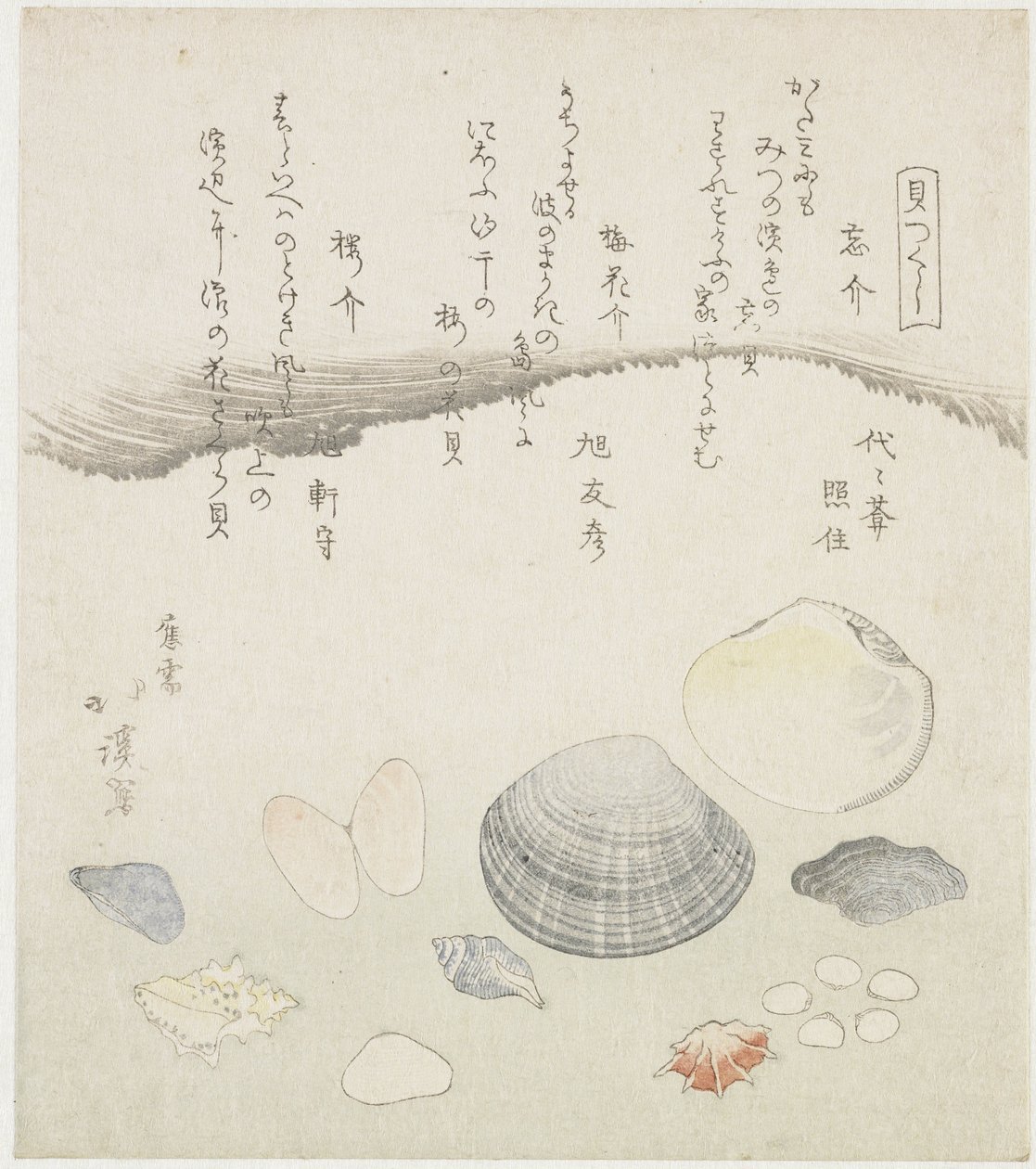 Coquille oubliée, coquille de fleur de prunier et coquille de cerisier - Totoya Hokkei