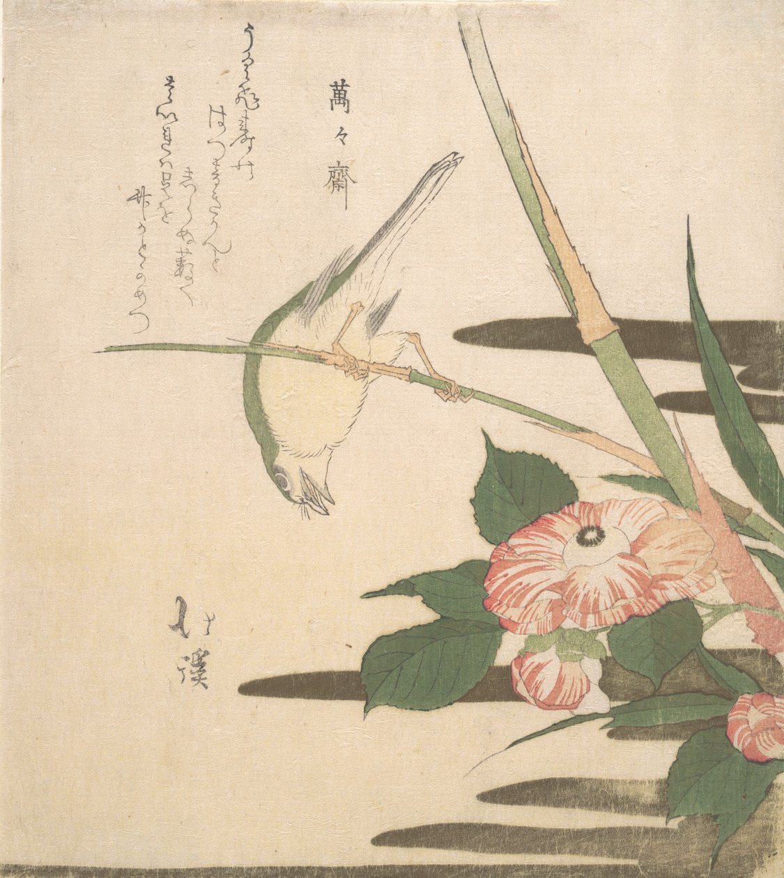 Paruline et camélia, vers 1815-20 - Totoya Hokkei