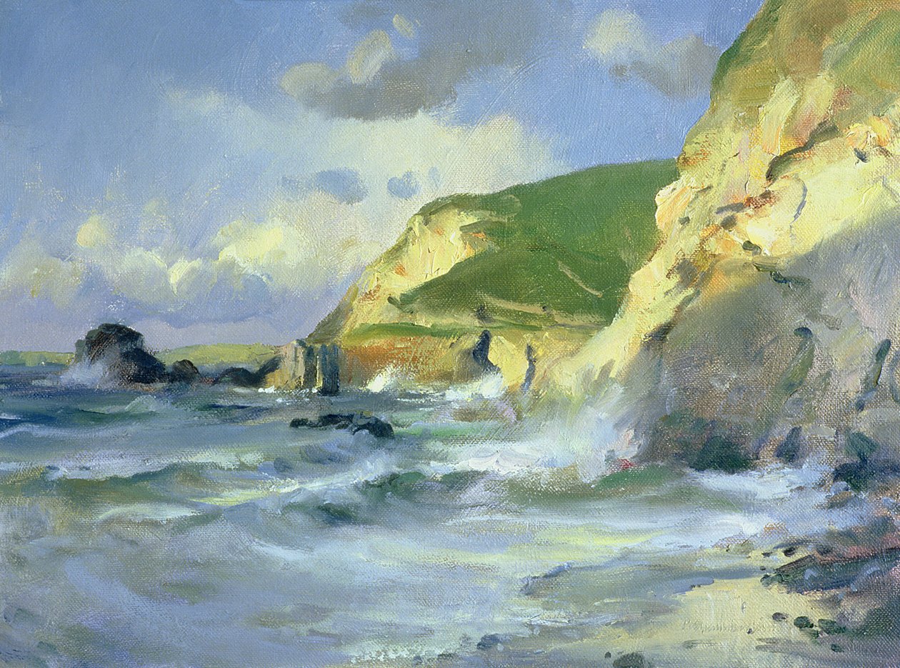 Falaises à St. Agnes - Trevor Chamberlain