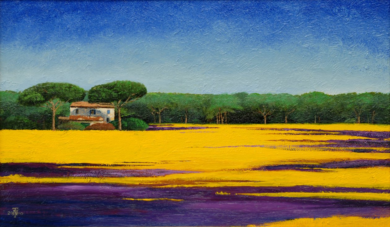 Paysage toscan, 2010 - Trevor Neal