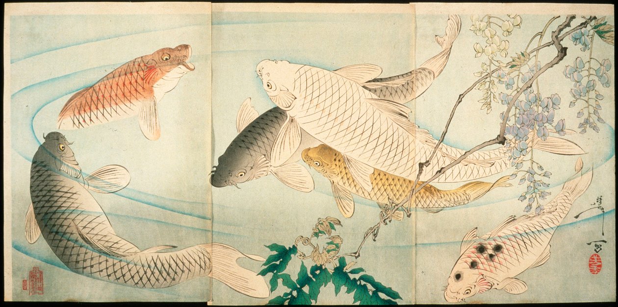 Carpe et glycine - Tsukioka Yoshitoshi