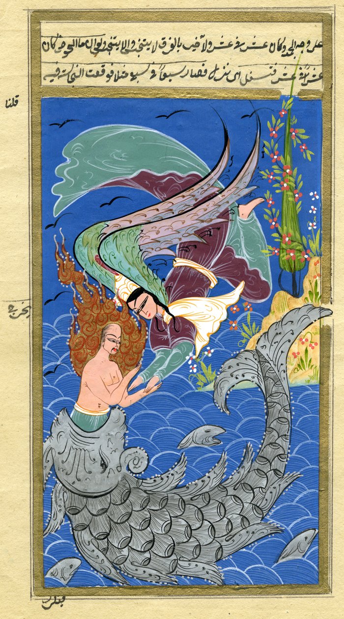 Jonas et le grand poisson - Turkish School