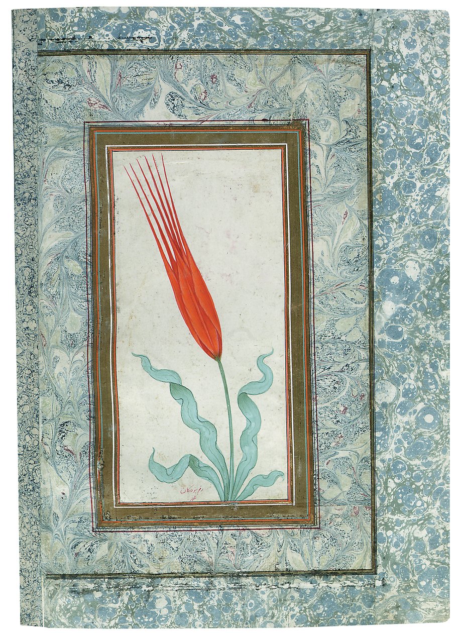 Page de l