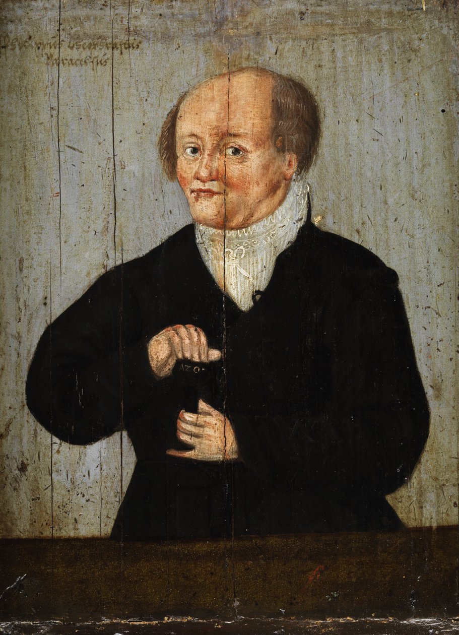 Philippus Theophrastus Paracelsus - Unbekannt Unbekannt