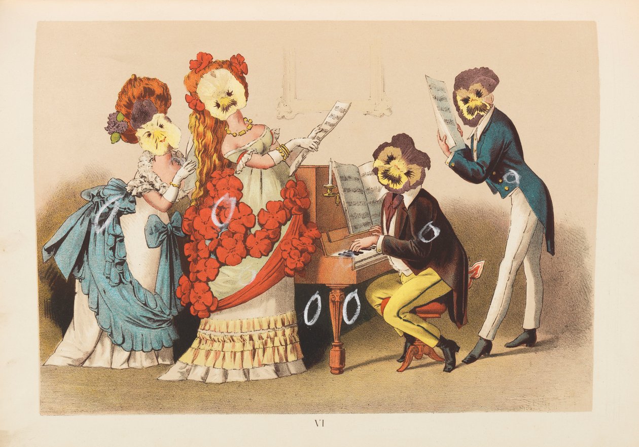 Illustration de Viola Tricolor - Unbekannt Unbekannt
