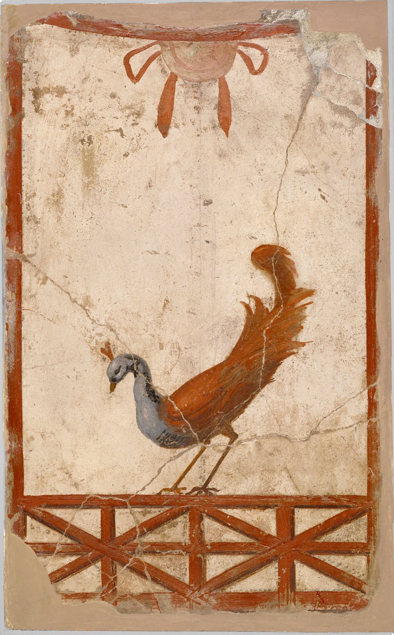Fragment de mur avec un paon - Unbekannt Unbekannt