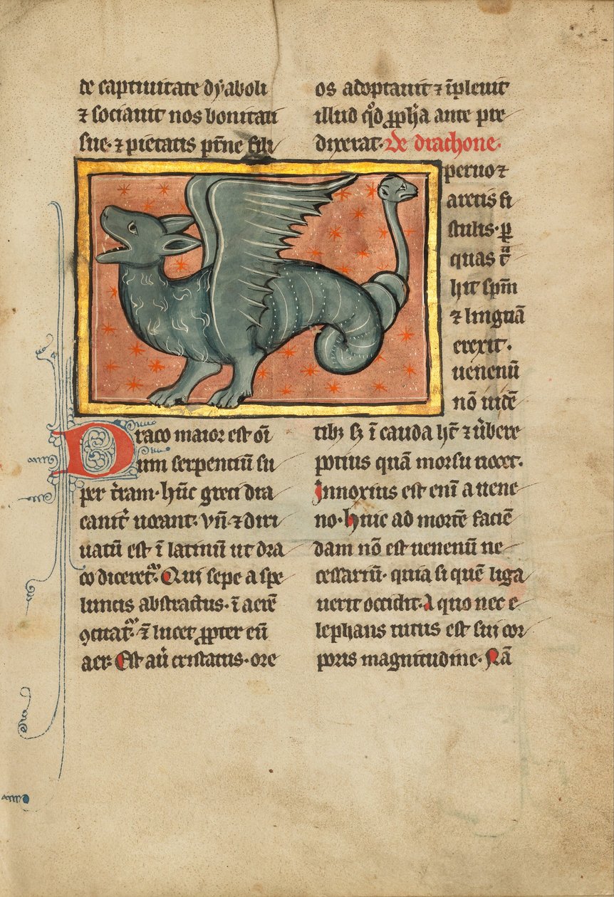 Un dragon ailé - Unbekannt Unbekannt