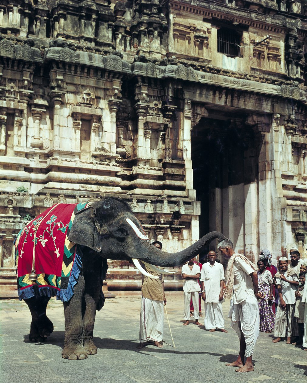 Un homme béni par un éléphant au temple de Varadarajaswamy - Unbekannt Unbekannt