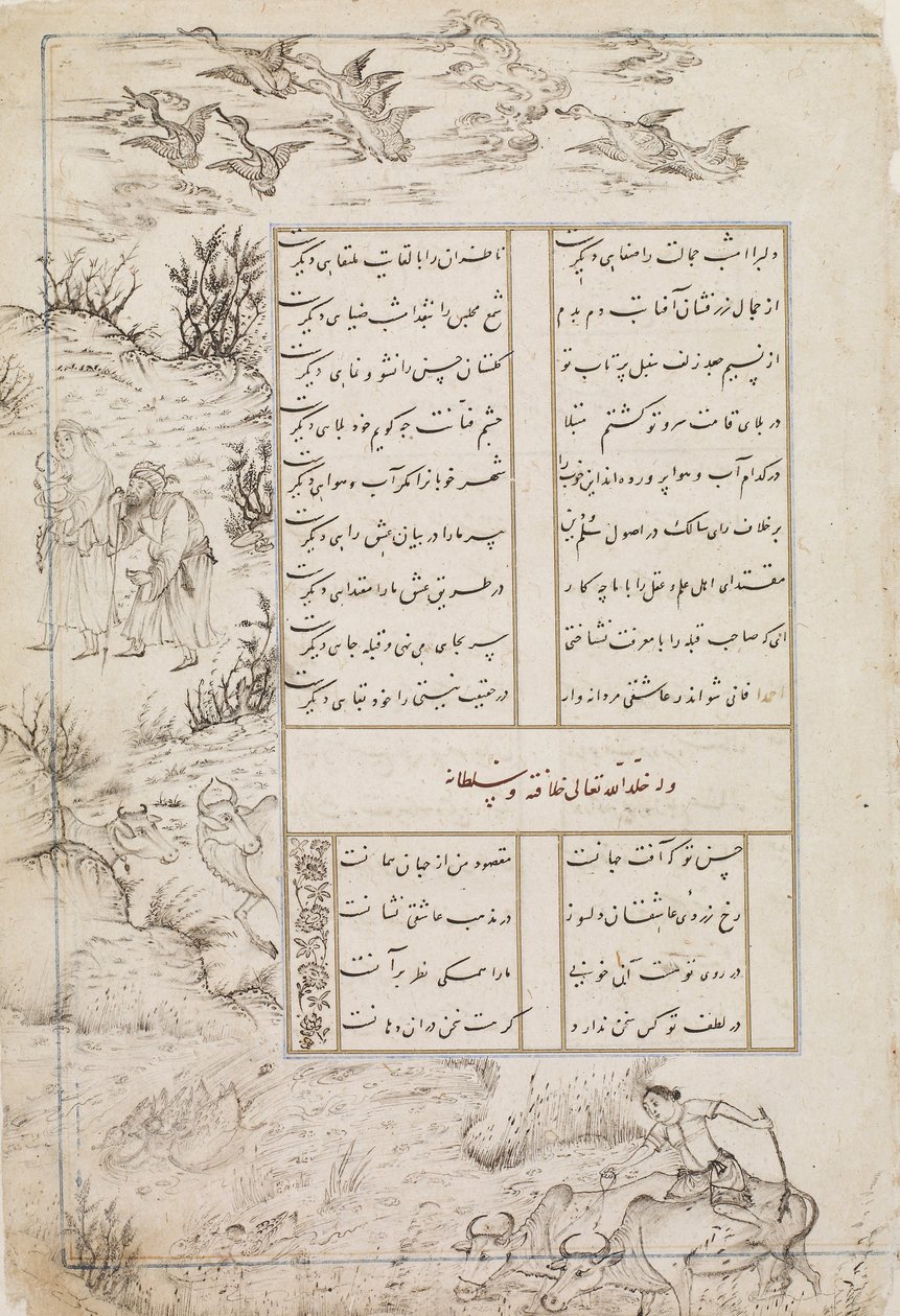 Folio d