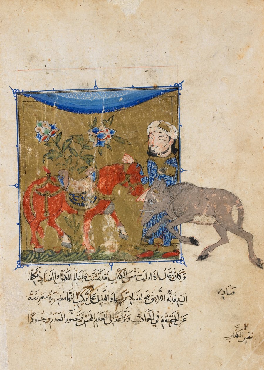 Folio d
