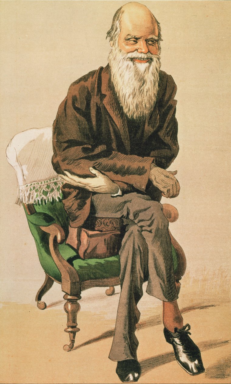 Hommes du jour, no. 33, Charles Darwin, caricature de Vanity Fair - Unbekannt Unbekannt