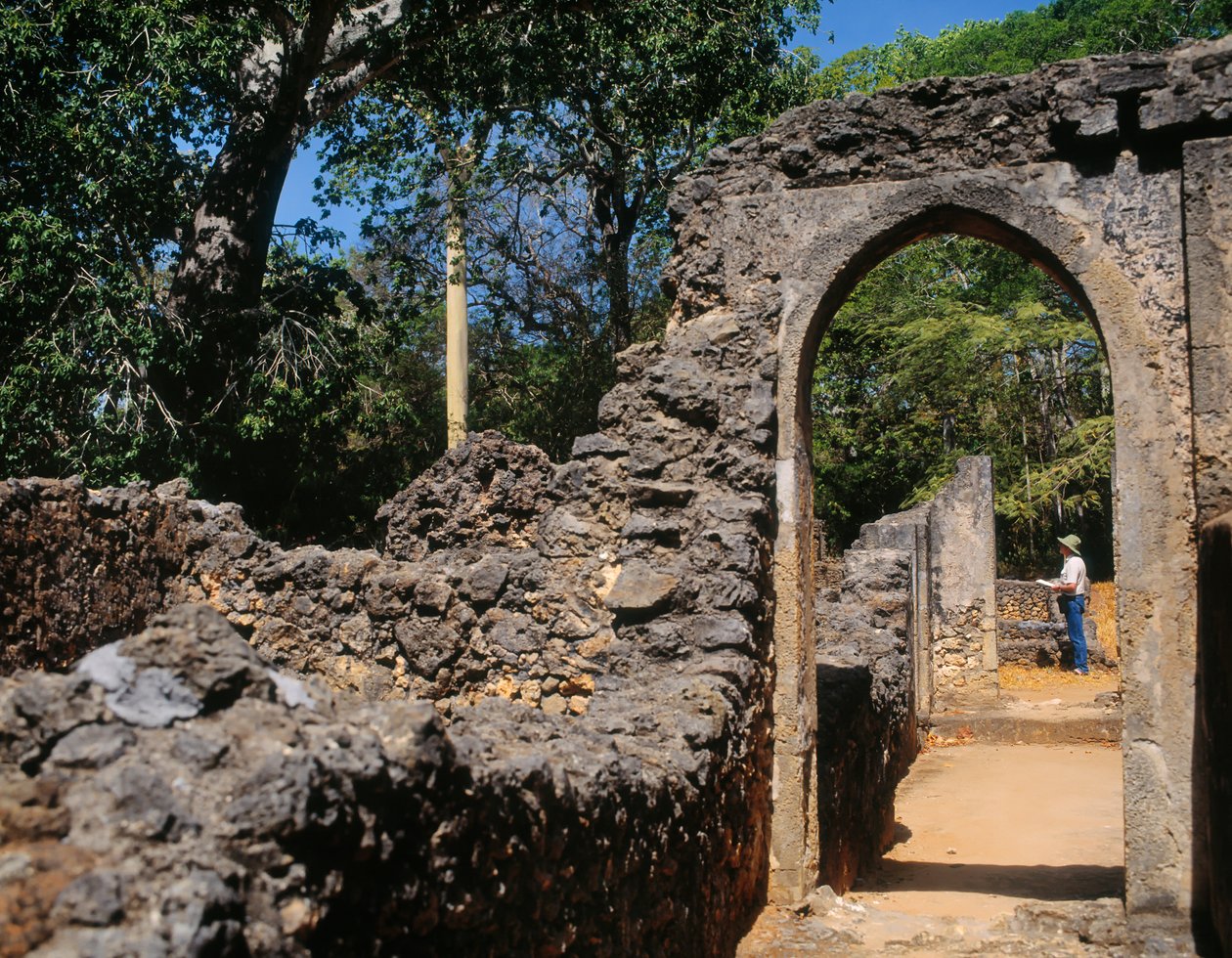Ruines de la ville fortifiée - Unbekannt Unbekannt