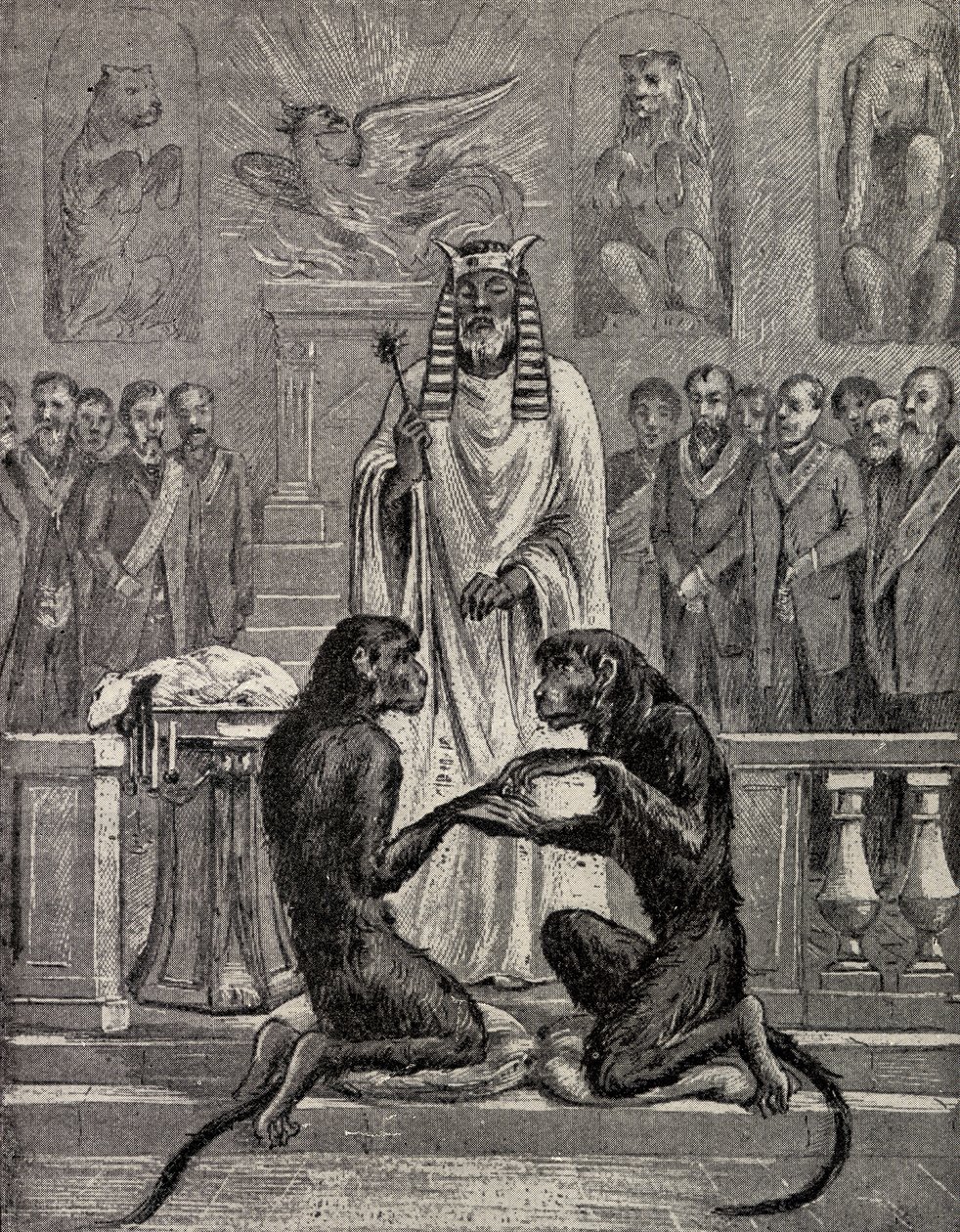 Sacrifice de l