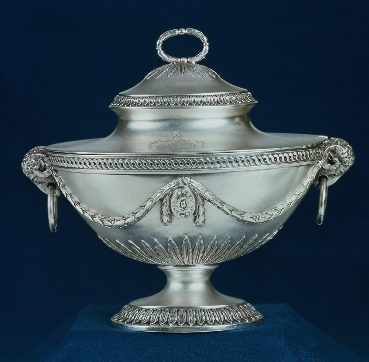 Saucière, reproduction d