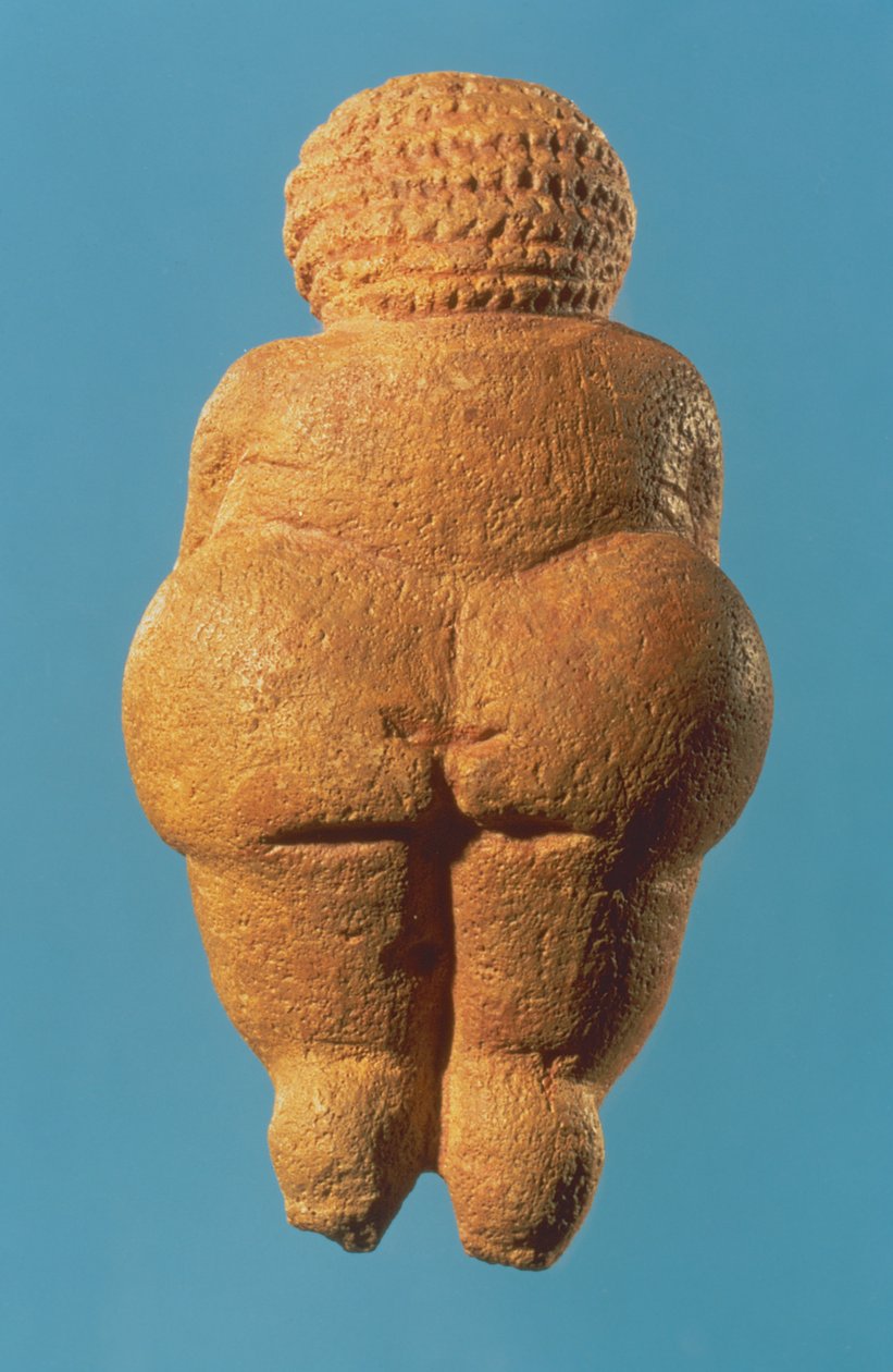 La Vénus de Willendorf, vue arrière de la figurine féminine, culture gravettienne, période paléolithique supérieure, c.30000-18000 av. J.-C. - Unbekannt Unbekannt