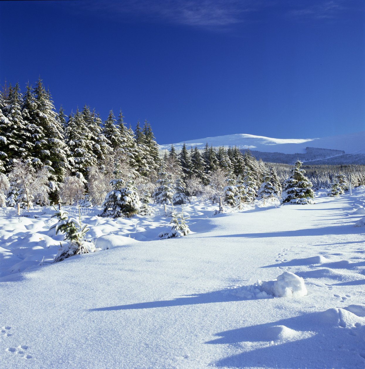 Les Montagnes de Wicklow en hiver - Unbekannt Unbekannt
