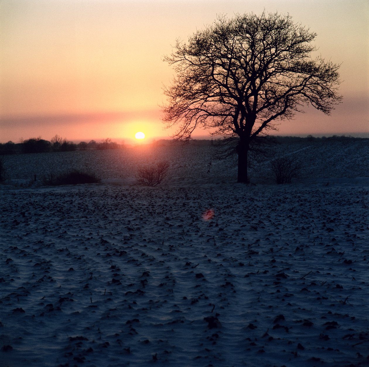 Coucher de soleil d
