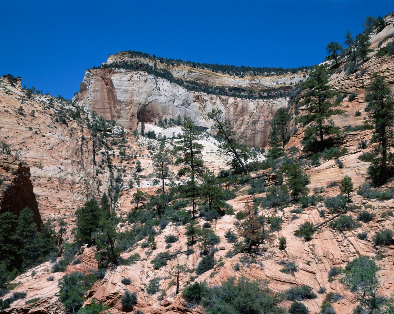 Parc national de Zion, Utah - Unbekannt Unbekannt