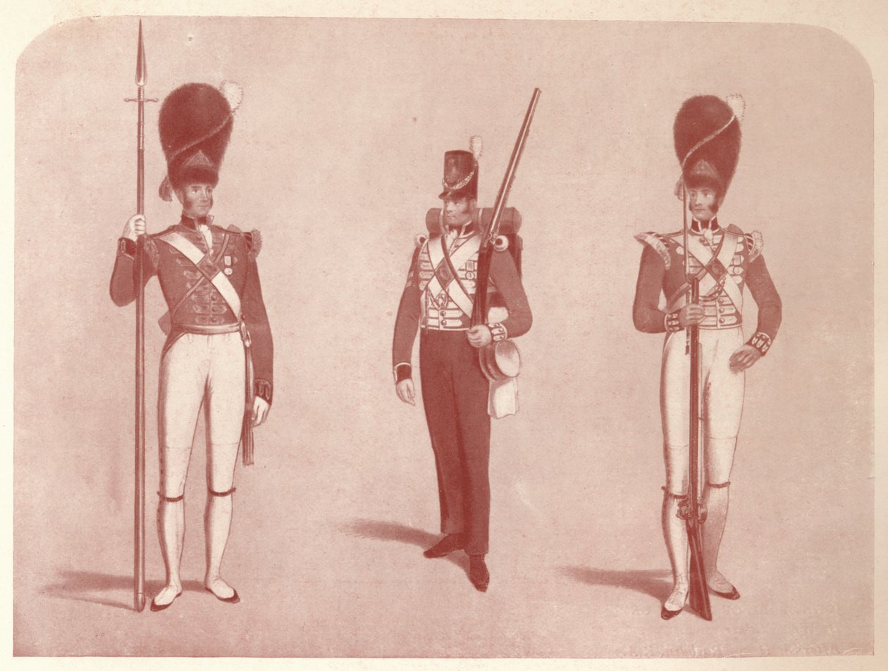 1er ou Régiment de Grenadiers de la Garde en 1815, 1909 - Unbekannt