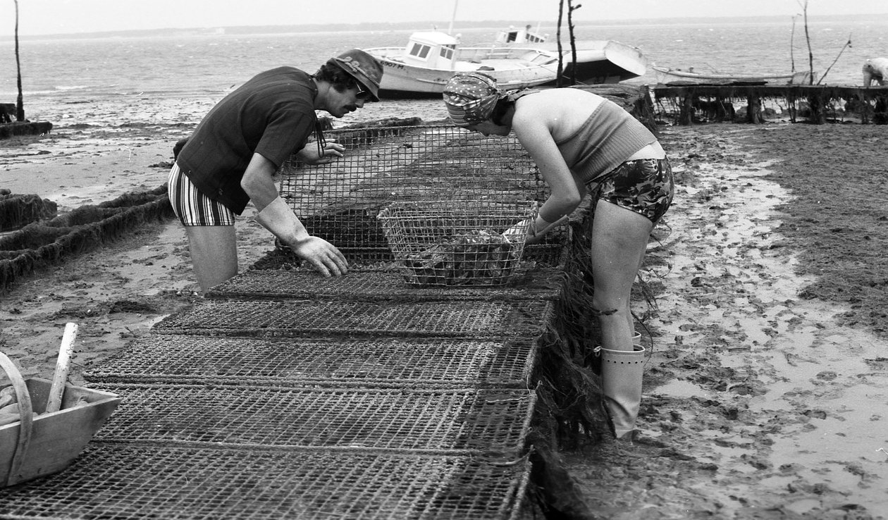 Ostréiculteur en Vendée, août 1974 - Unbekannt