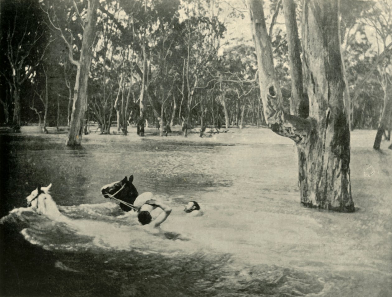 Un banquier, 1901 - Unbekannt