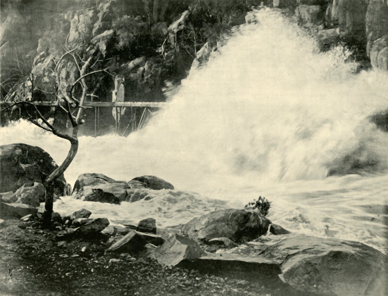 Une grande vague dans les gorges de la Cataracte, près de Launceston, 1901 - Unbekannt