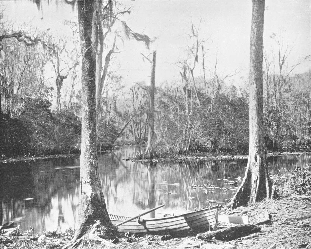 Un affluent de la rivière St. Johns, Floride, USA, vers 1900 - Unbekannt