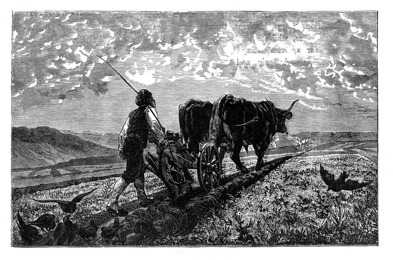 Un agriculteur français, vers 1890 - Unbekannt