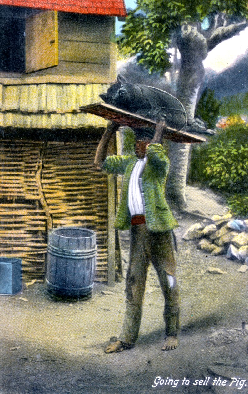 Un homme en route pour le marché pour vendre un cochon, Jamaïque, vers 1900 - Unbekannt