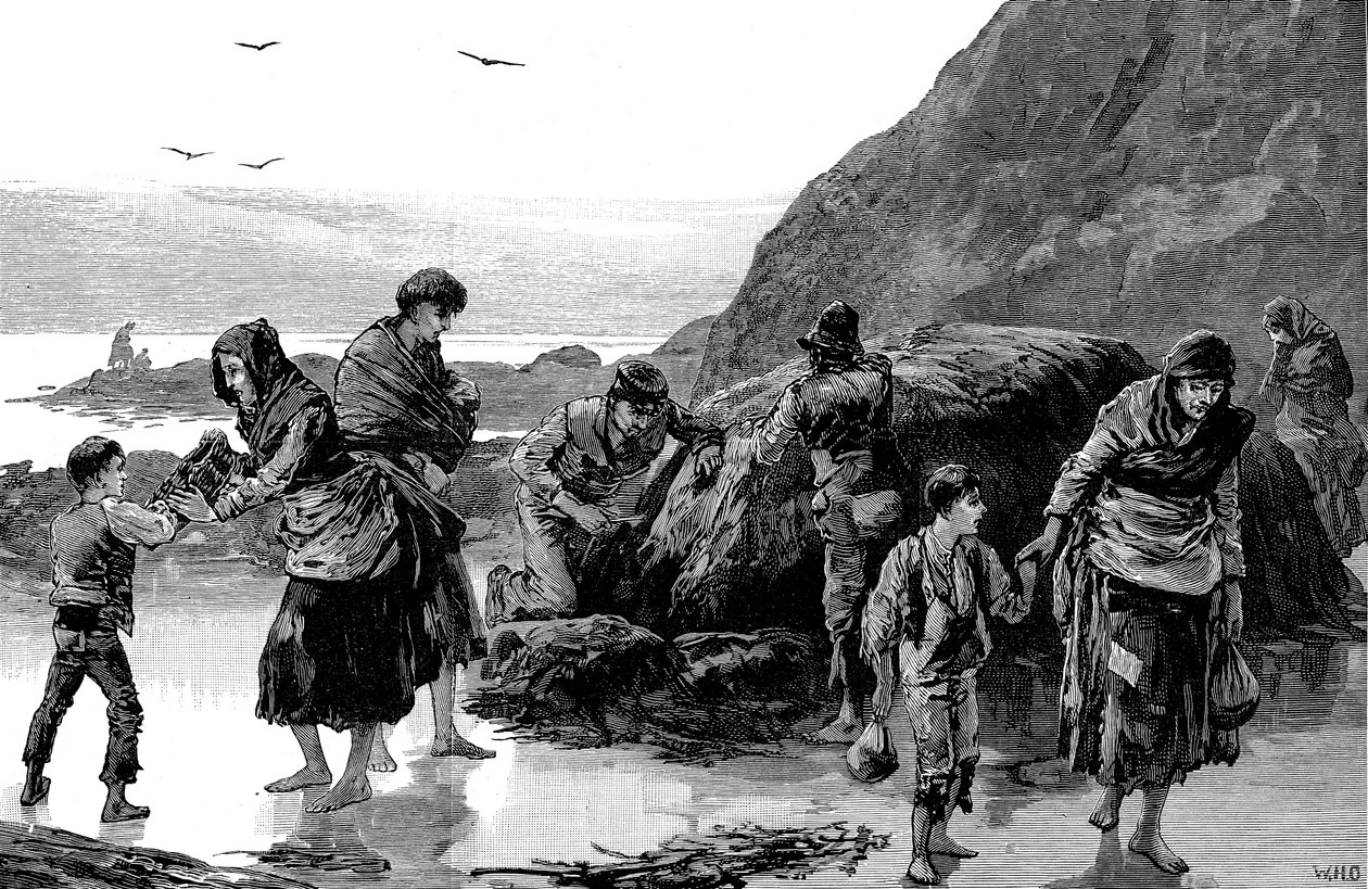 Conséquences de la famine, Irlande 1840s, 1886 - Unbekannt