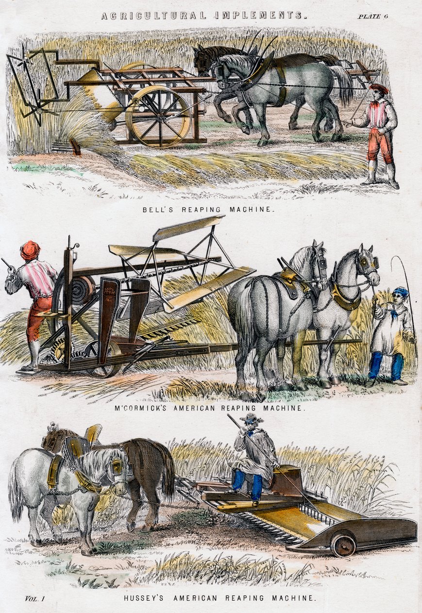 Outils agricoles, 19e siècle - Unbekannt