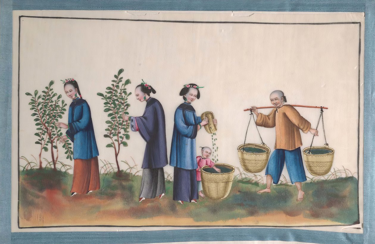 Album contenant douze peintures de personnes fabriquant de la soie, 19ème siècle - Unbekannt