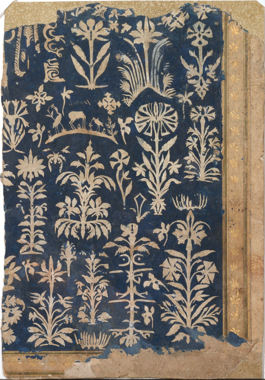 Page d