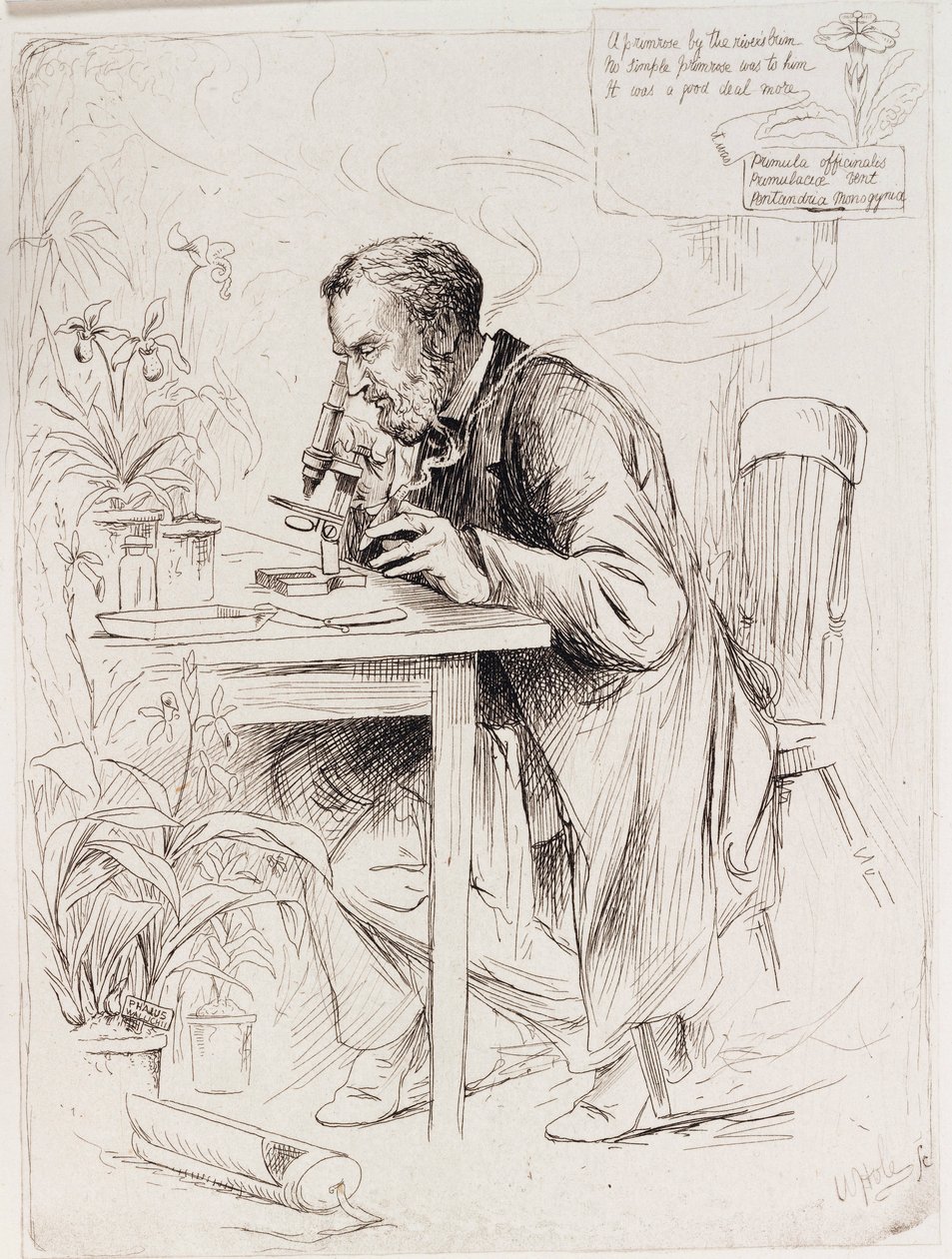 Alexander Dickson, botaniste - Unbekannt