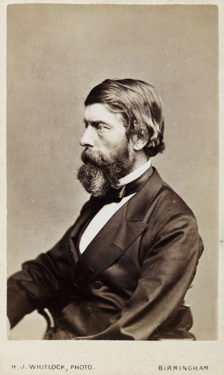 Alexander William Williamson, chimiste écossais, vers 1865 - Unbekannt