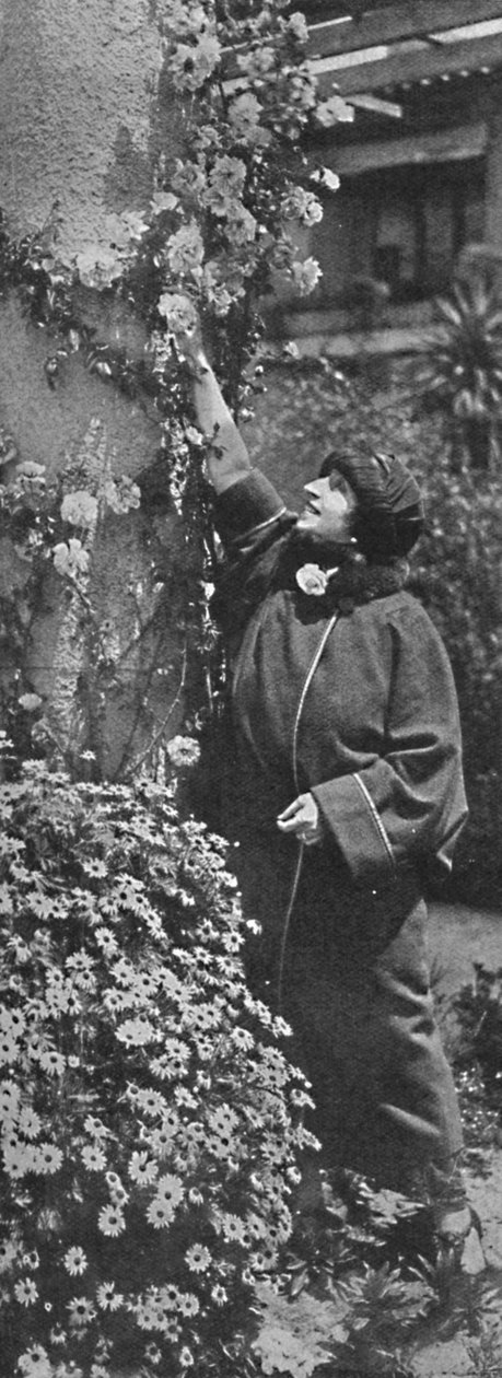 Amelita Galli-Curci - La grande diva cueillant des roses, ses fleurs préférées, vers 1925 - Unbekannt