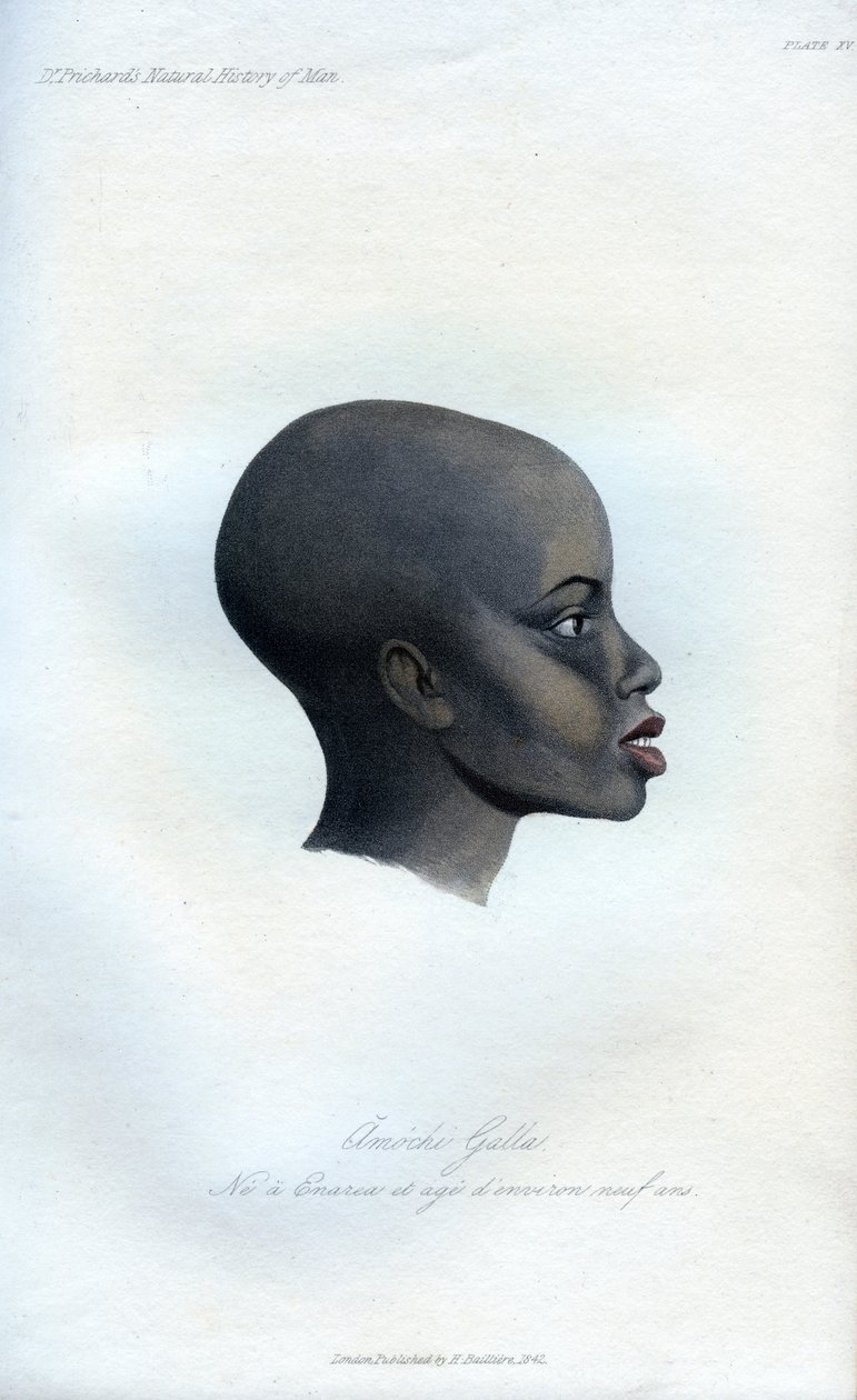 Amochi Galla, un portrait d