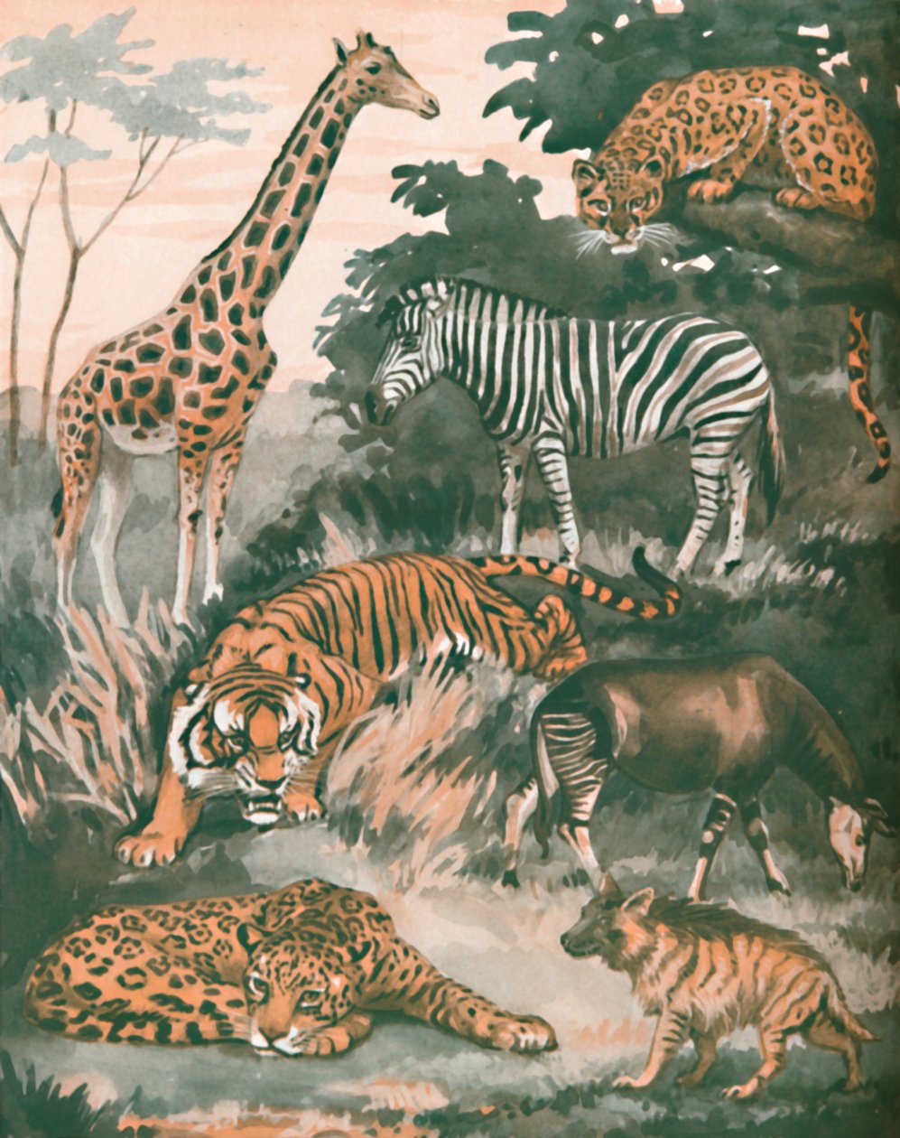 Les animaux aidés par des taches et des rayures, 1935 - Unbekannt
